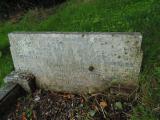 image of grave number 819790